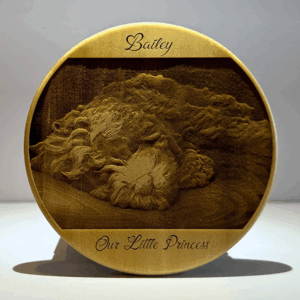 3D Wood Coaster - Personalized