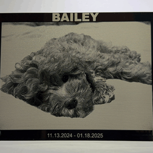 Acrylic Pet Portraits - Personalized