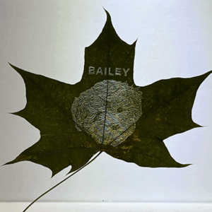Maple Leaf Engraving - Personalized