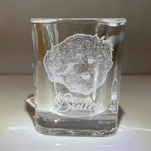 Custom Shot Glasses (set of 4)